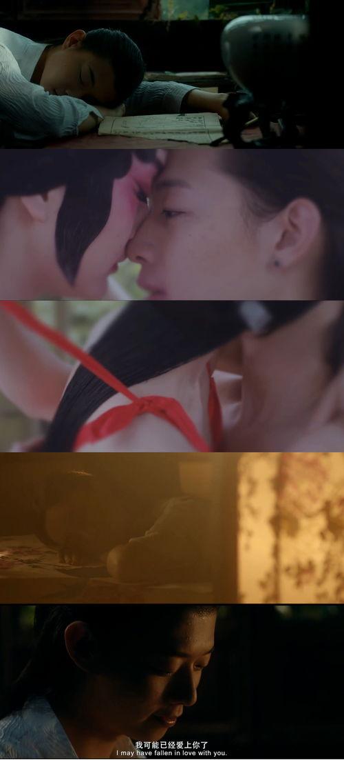 花落梦深处在线观看,穿越时空的浪漫邂逅  第3张