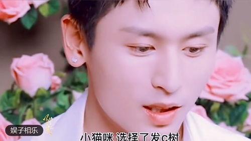 爆料房产视频素材大全集,全方位解析房产营销奥秘  第3张