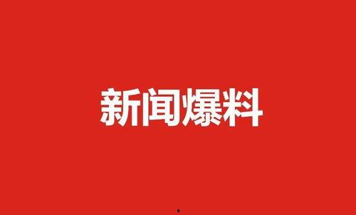 肇东最新爆料新闻视频播放,视频揭秘惊人真相,引发社会热议