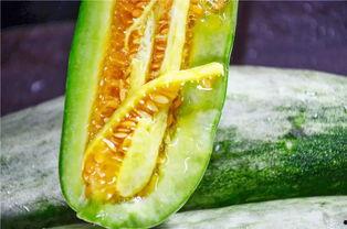 吃千万网红的瓜,揭秘千万网红背后的惊人瓜料  第3张