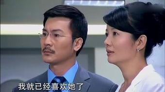 养女全集在线观看,揭秘成长背后的爱与挣扎  第3张