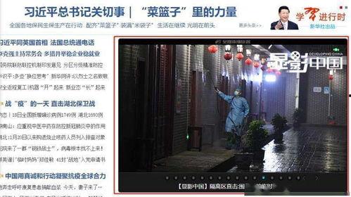 藏龙岛今日爆料,神秘事件揭开神秘面纱  第3张 藏龙岛今日爆料,神秘事件揭开神秘面纱  第3张