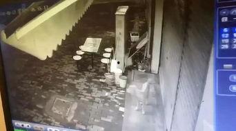 横栏最新爆料视频播放,精彩瞬间一网打尽  第2张 横栏最新爆料视频播放,精彩瞬间一网打尽  第2张