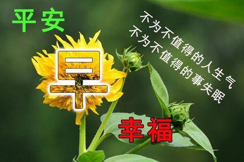 早安最新爆料图片大全集,最新图片大全集精彩瞬间回顾  第2张 早安最新爆料图片大全集,最新图片大全集精彩瞬间回顾  第2张