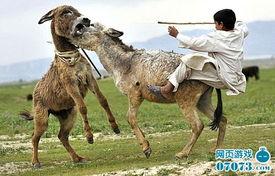 八卦大驴爆料视频播放,揭秘视频播放背后的秘密  第3张 八卦大驴爆料视频播放,揭秘视频播放背后的秘密  第3张