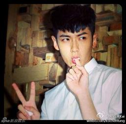 日本搞笑综艺爆料视频,爆笑瞬间背后的故事  第3张 日本搞笑综艺爆料视频,爆笑瞬间背后的故事  第3张