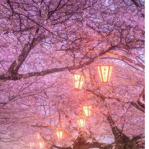 拖鞋妹在线观看 下载,在线观看与下载,轻松畅享欢乐时光  第3张 拖鞋妹在线观看 下载,在线观看与下载,轻松畅享欢乐时光  第3张